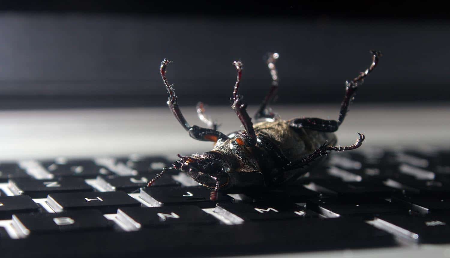 Image of a dead bug on keyboard representing how the Hack the Air Force bug bounty program has found 207 vulnerabilities