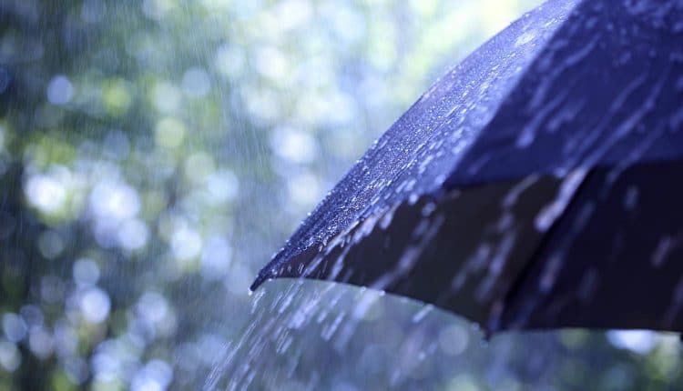Image of umbrella in the rain representing cyber insurance for public sector agencies