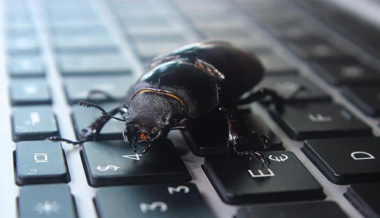 Image of bug on a keyboard representing whether the privacy issues and data abuses faced by Facebook can be considered just a bug in the system
