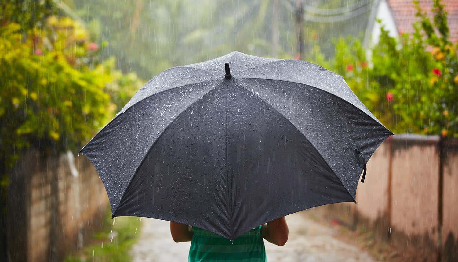 Woman with black umbrella in heavy rain showing the need for personal cyber insurance