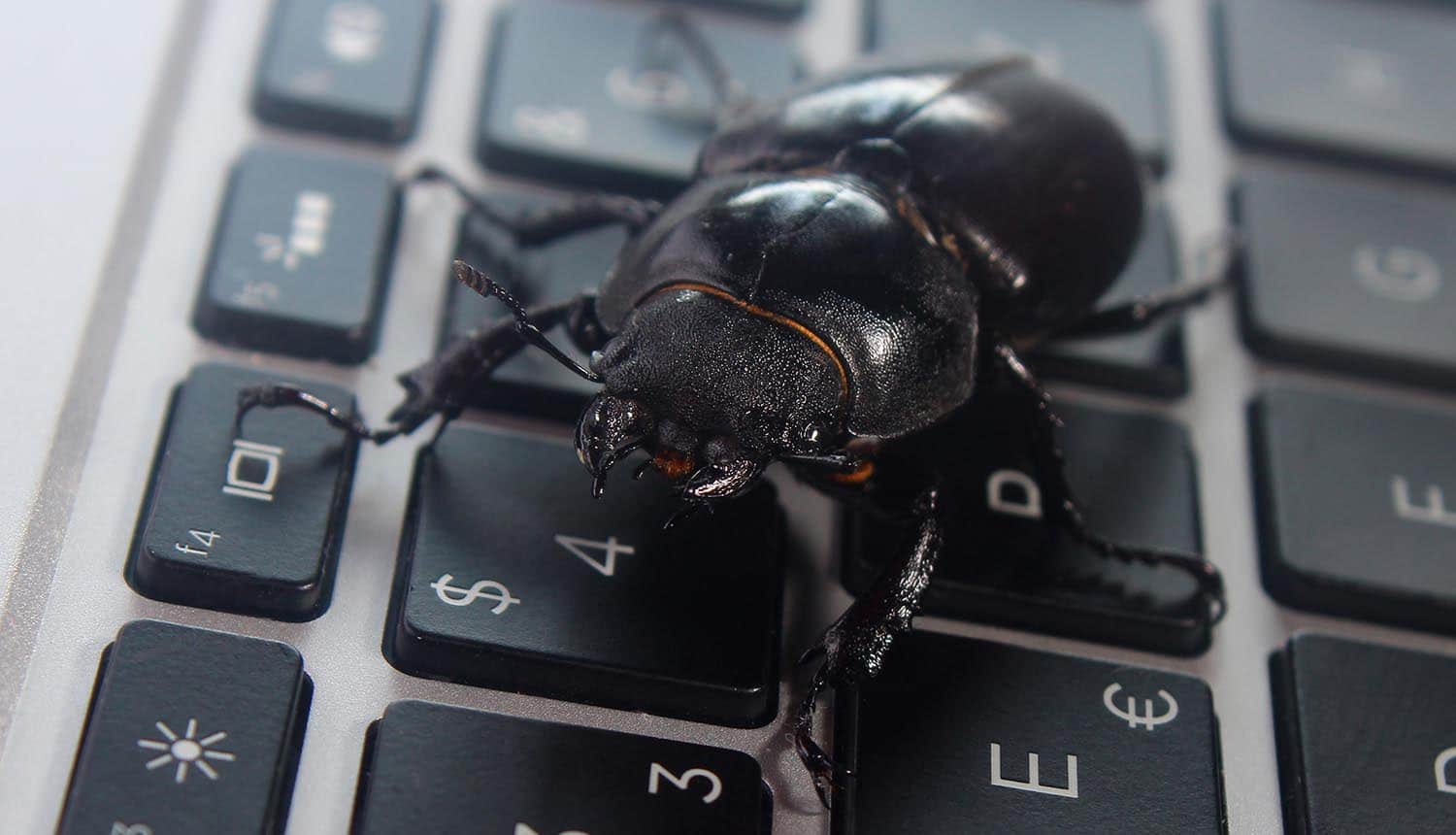 Bug on laptop keyboard showing malware distributed to ASUS computers in a massive supply chain attack