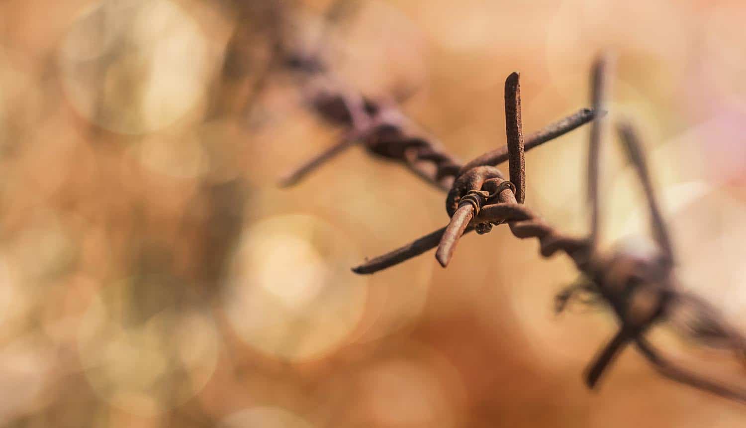 Barbed wire fence showing the potential misuse and abuse of technology in digital welfare state as warned in U.N. report