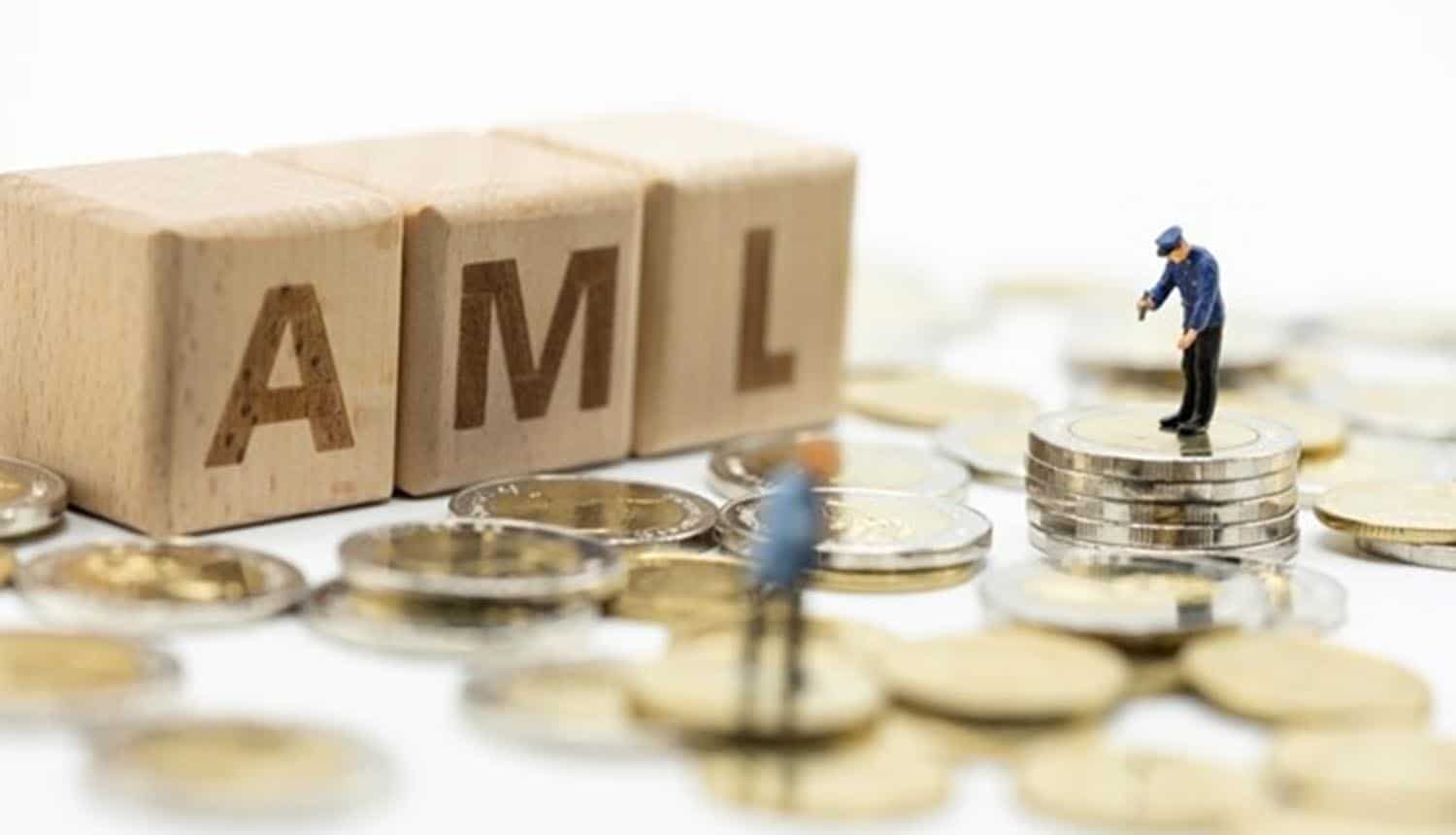 Wooden blocks with the word AML on a table with coins