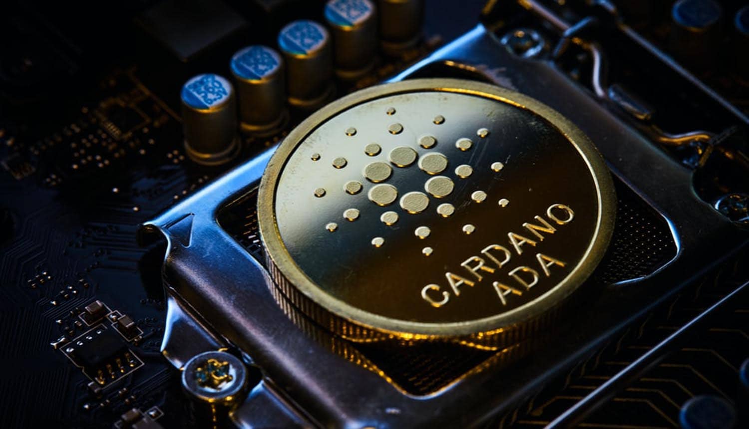 Cardano coin on chip