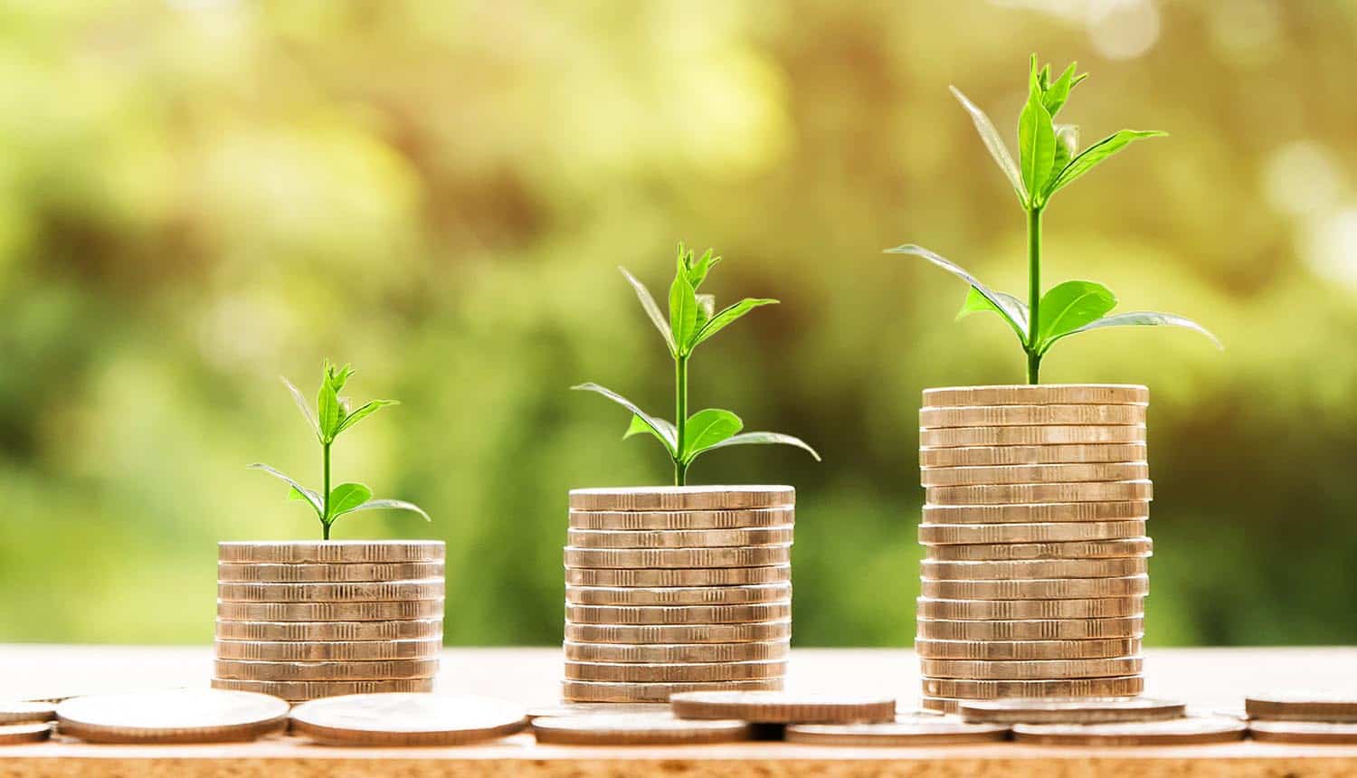 Plants growing on coins