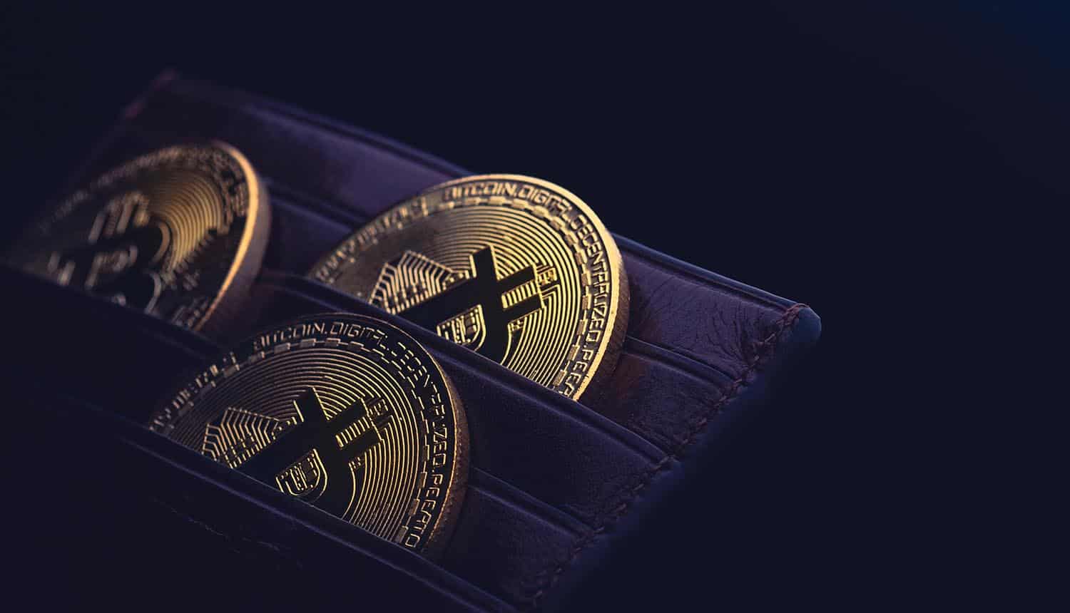 Bitcoin Wallet Its Advantages For The Discussion CPO Magazine