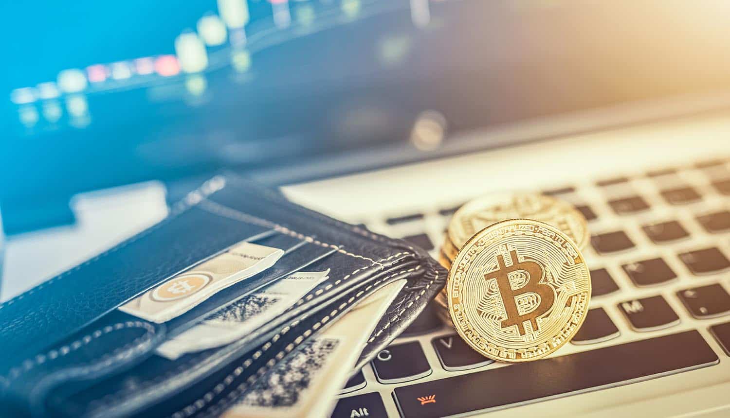 Virtual currency wallet