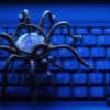 Spider on keyboard showing CVE program