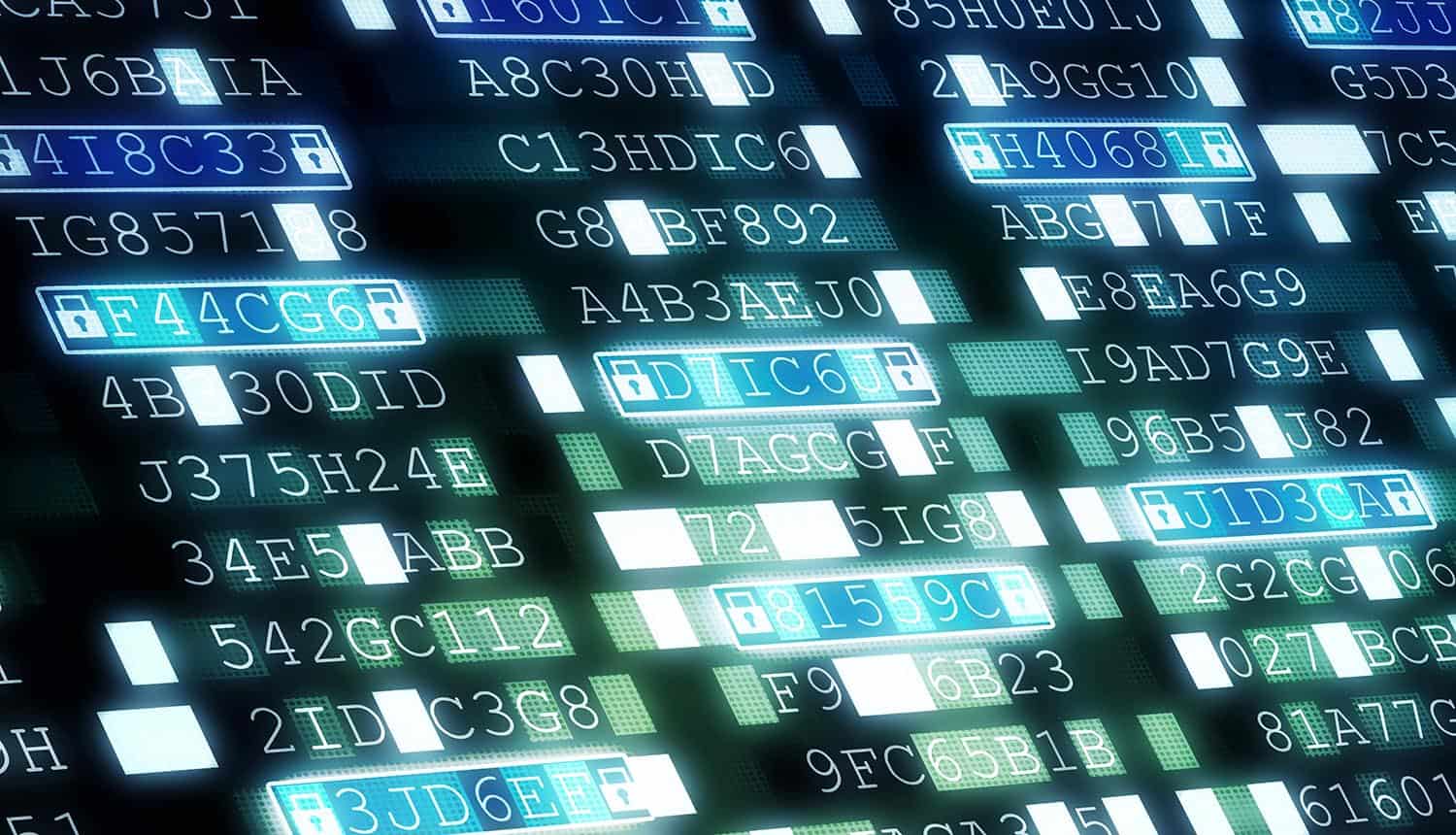 Passwords on screen showing login credentials