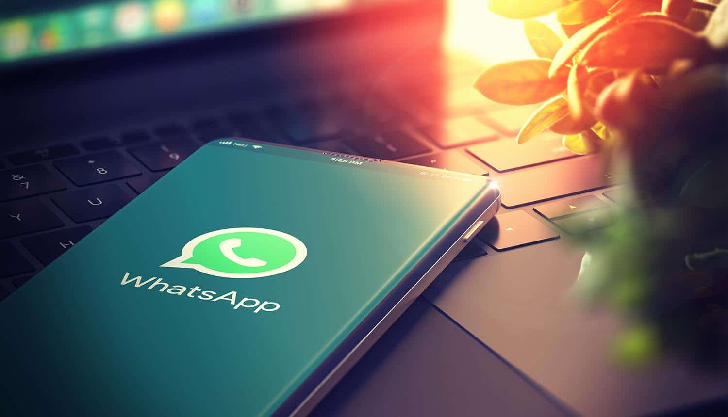 WhatsApp on screen showing security flaw exposes WhatsApp accounts