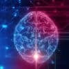 Digital brain showing AI and transparency